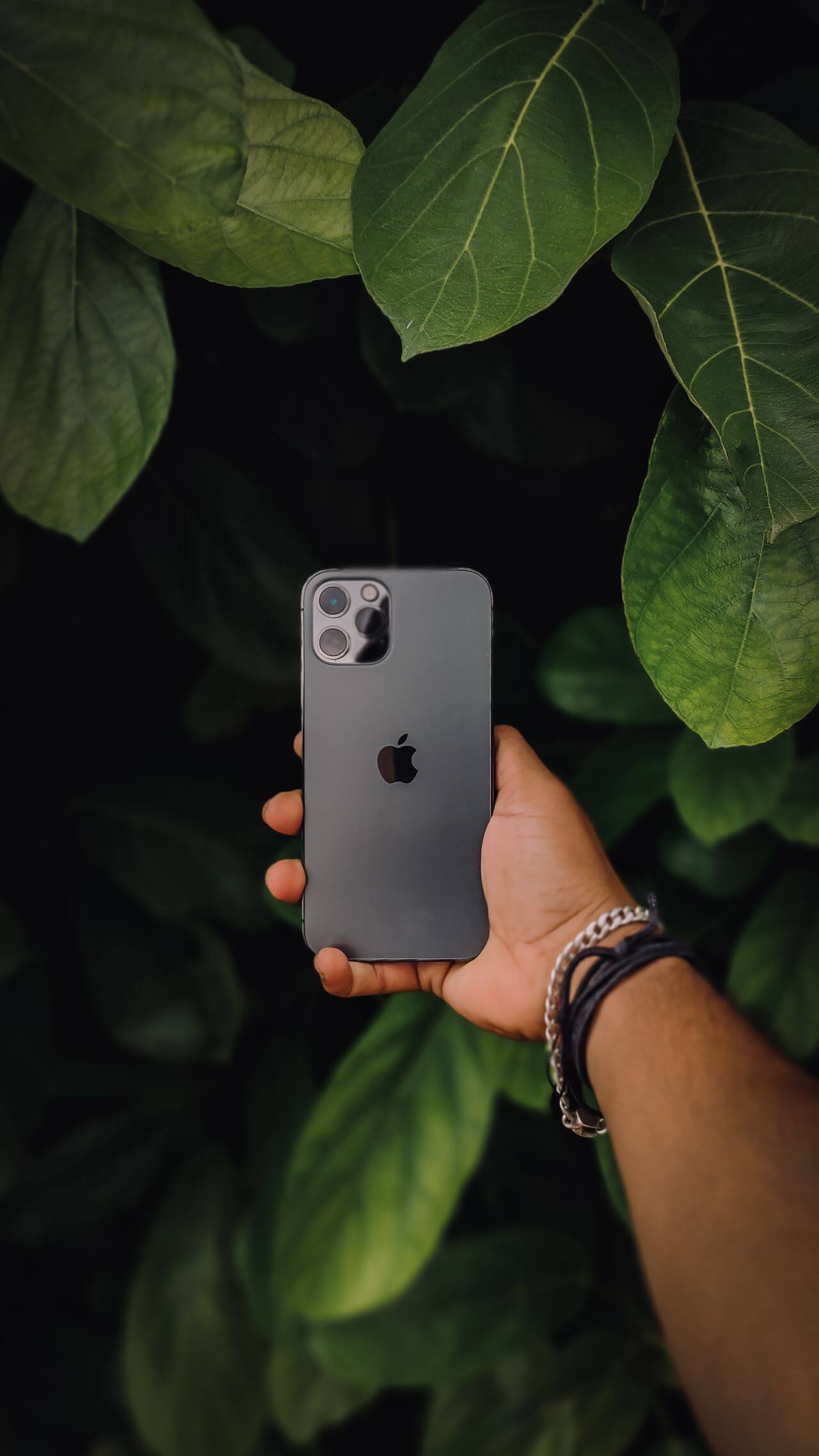 pexels-vickygraphy-13367286 Product 12 - الصورة 1